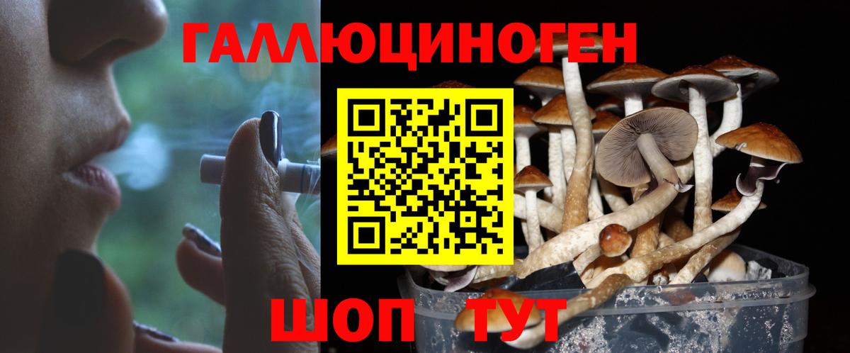 Еманжелинск  Галлюциногенные грибы прущие грибы  Псилоцибиновые грибы GOLDEN TEACHER  Вход с VPN 